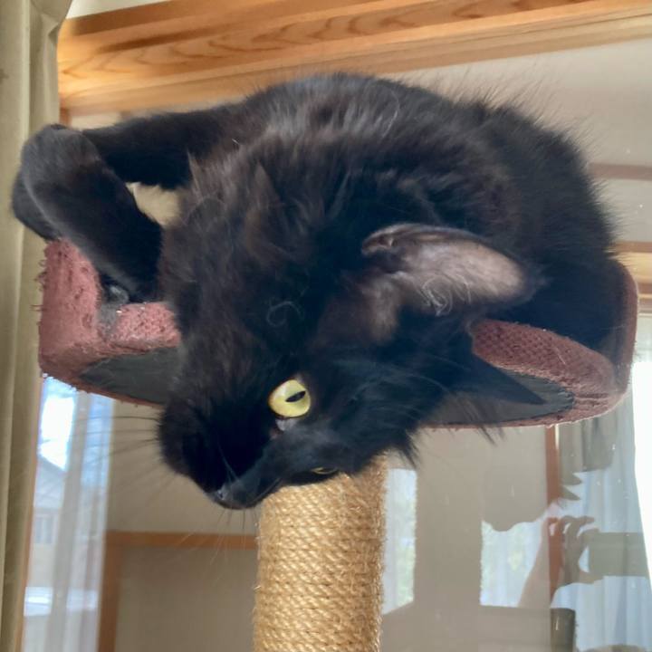 2ebc5062 b4d7 44db b6f4 31bf4c8c343f 1759560771285