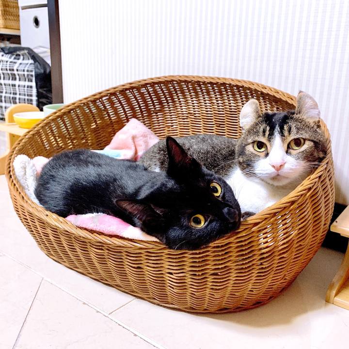 2ebc867d 87a4 4594 b6ef 1877759d0db8 1557924106708