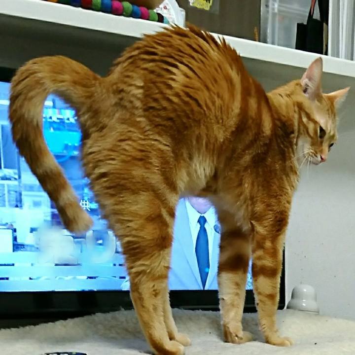 2ebc89da f350 47b0 8b9c 6b9cda056332 1550811891383