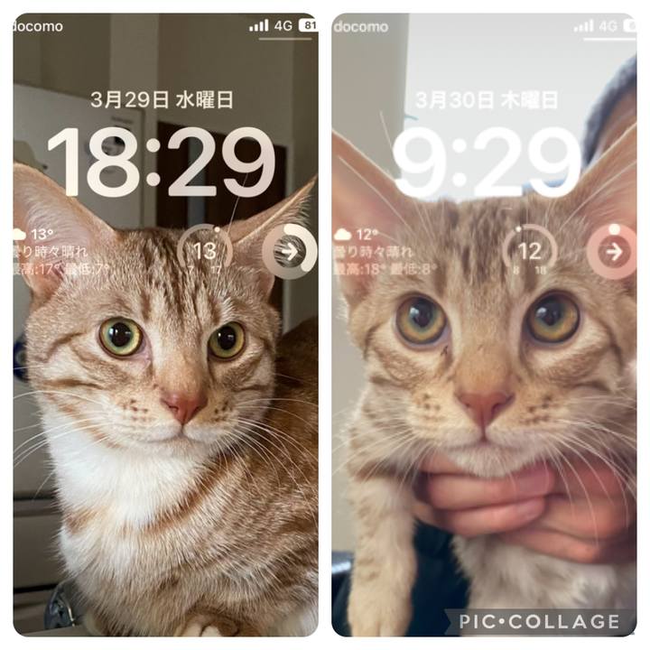 2ebc8ab4 e368 4243 a8b9 dccb3beedfa3 1680136303756