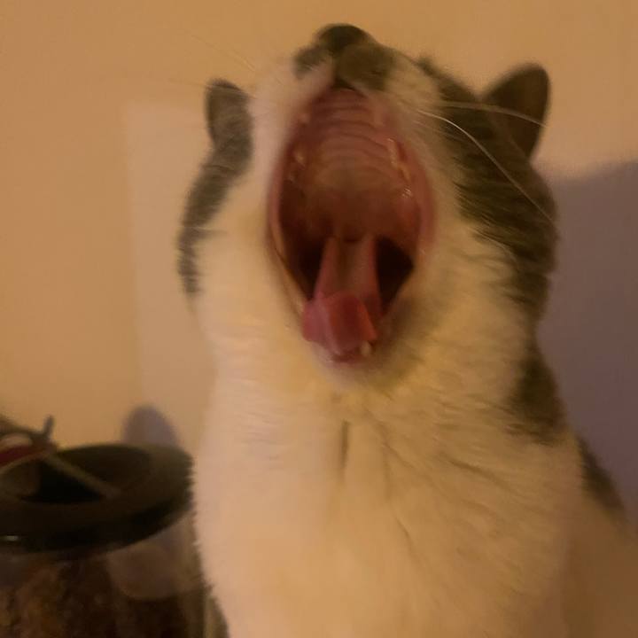 2ebcbc2c 9c0c 41a1 8baa 7bda14fd5f08 1738598223355