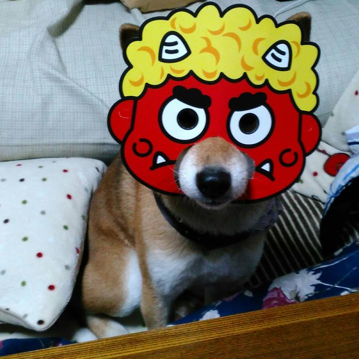 2ebcd2fb 1424 46c8 8d8b c2ed924a7b81 1517313351261