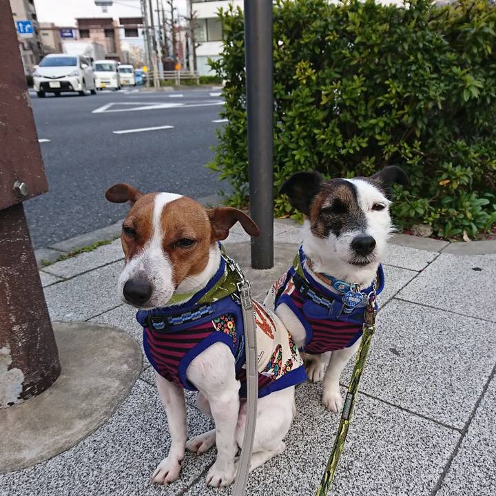 2ebce011 845a 4c8e 9872 7ae0791373ef 1553464615403