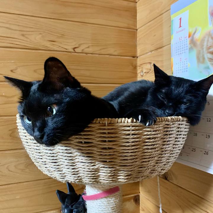 2ebd12e8 043d 416c b374 c393b50d7daf 1642857885767