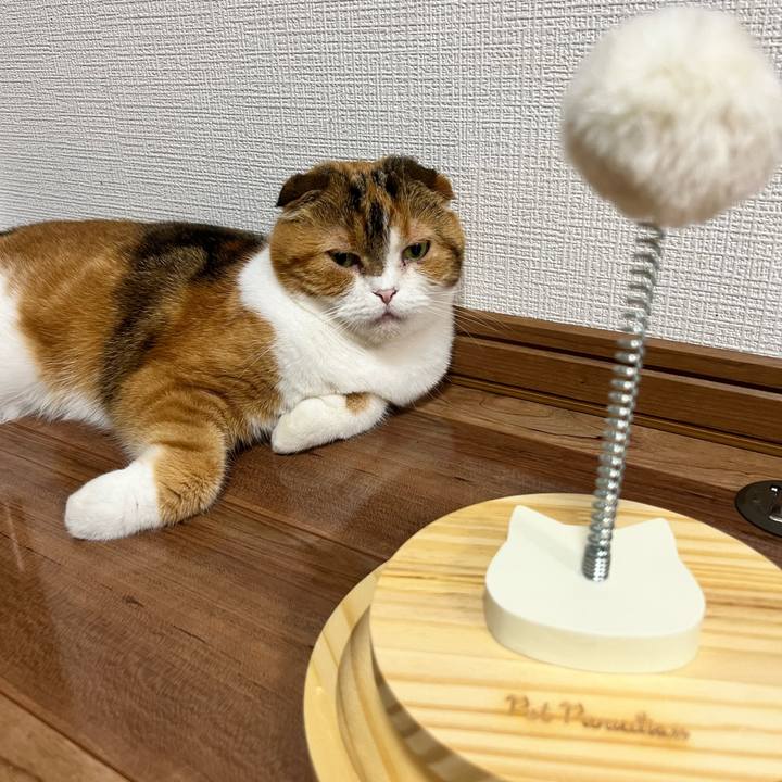 2ebd82e3 eca8 4c91 8ee5 0e59d34e4674 1718962499417