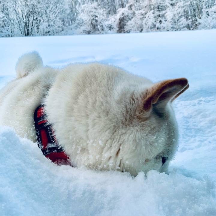 2ebdf765 dd16 4d9e 87f0 3b53c1d3861b 1643348945399