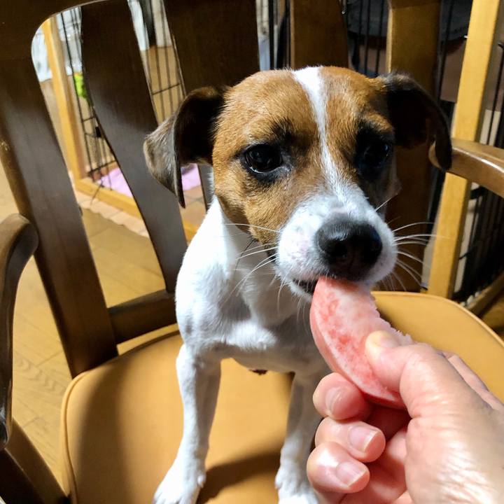 2ebe5395 2185 419c 8751 68a9d5be1f71 1598441437531