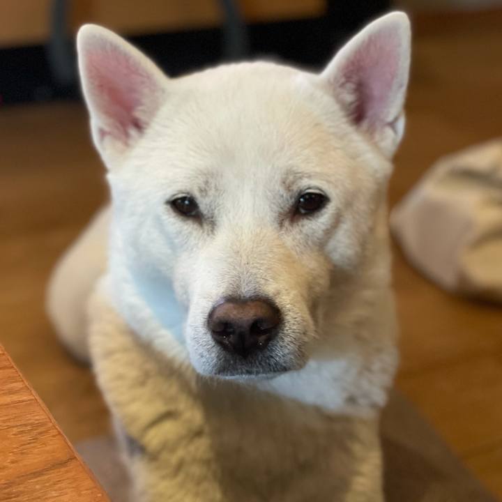 2ebe839d 2eb3 4f0a 9063 94e190dbe5e7 1608464982558