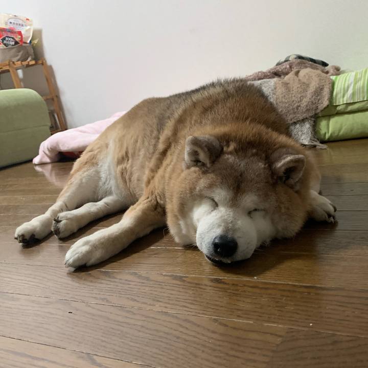 2ebea8c5 cabf 4ad5 8c4e 3f47eada2240 1649592779839