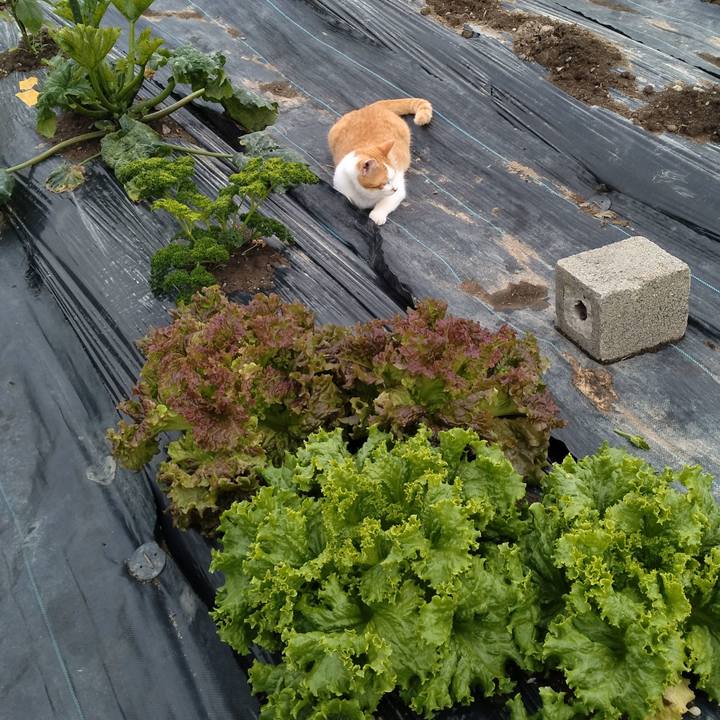 2ebeca69 868f 4bce 8e71 47469a364098 1749631147354