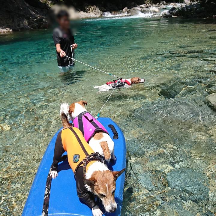 2ebeed27 2b18 4117 9806 020380f4b990 1531577311279