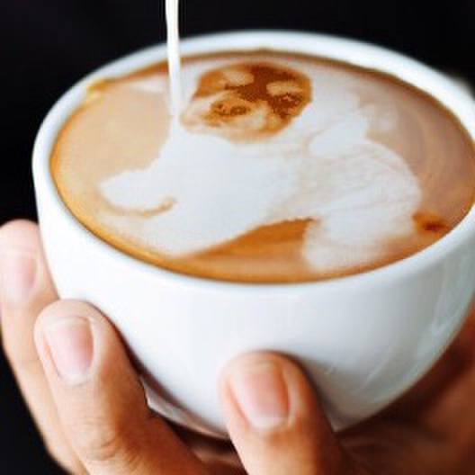 2ebf1b28 737a 438d 9d03 15765c1a083f 1523630606551