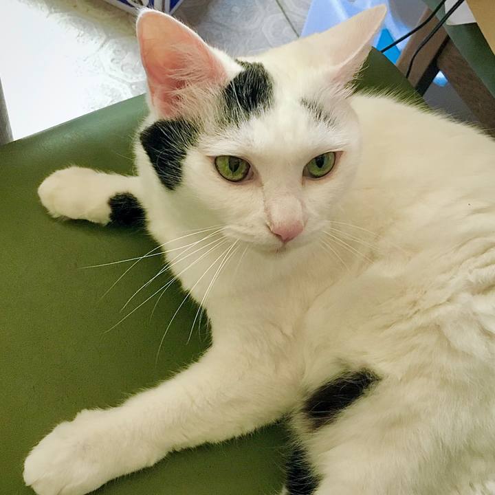 2ebf4e19 19ab 43e3 a6f6 f6a874cf4d81 1599376927812