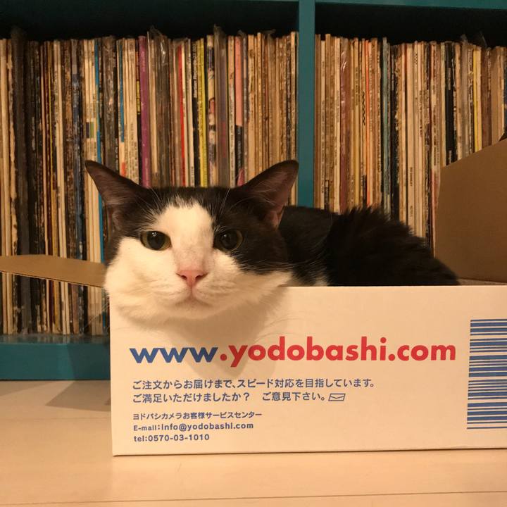 2ebf8634 be95 44c4 9915 23a8be585395 1591960154221