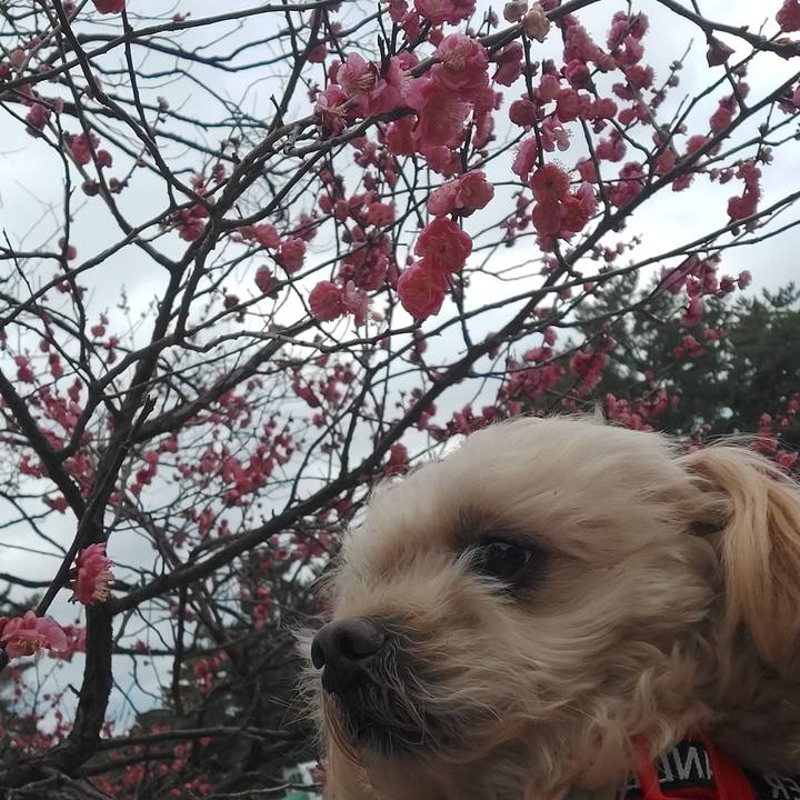 2ebfa097 769e 44c2 a2f8 34a732c4b6b5 1706851445773