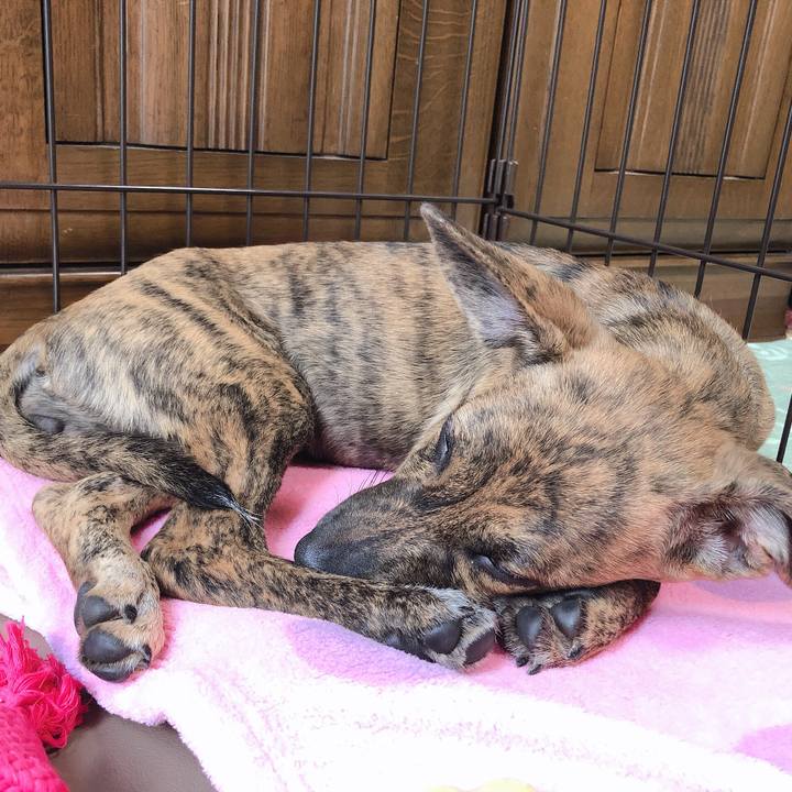 2ebfee0a 6220 4140 ac52 be62c3dccd50 1569463048406