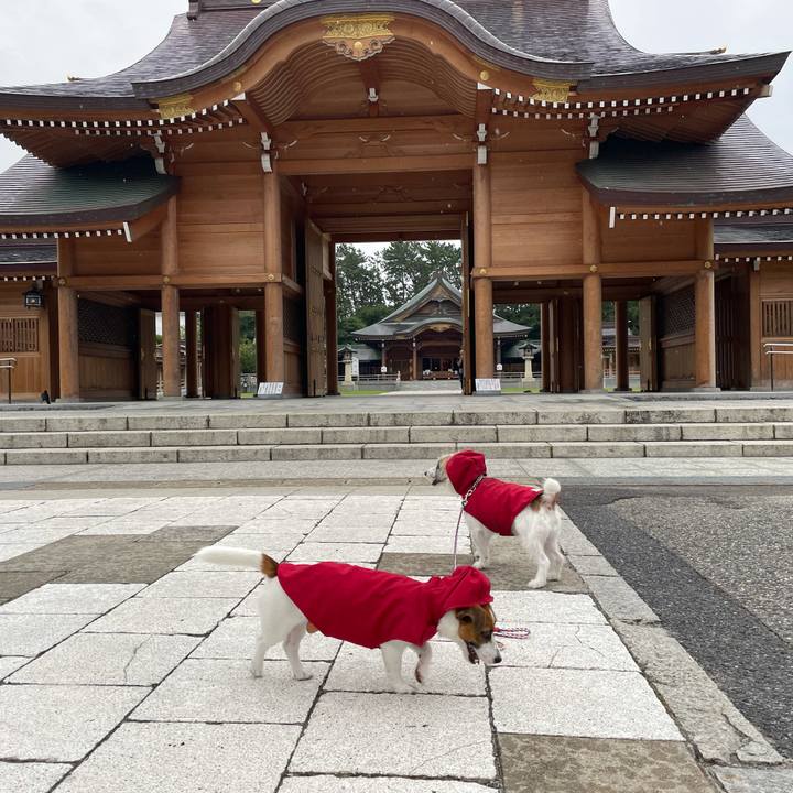 2ec0a84e d7aa 41c3 a33a 84924269407d 1630452625100