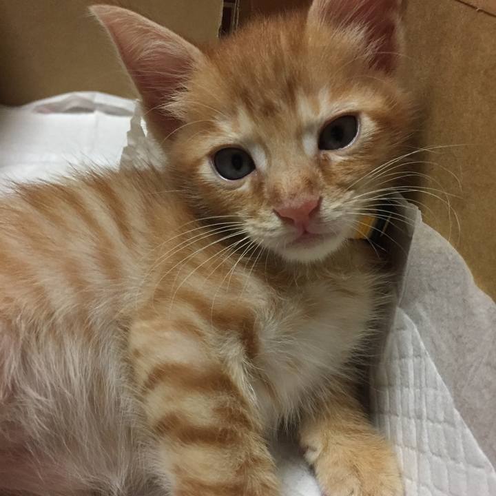 2ec0ab29 38f7 4b9c 8fde e387c91d4584 1534344356288