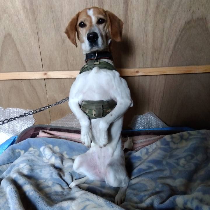 2ec0cb96 580d 41de 9bcf 2f903585c47a 1684587197243