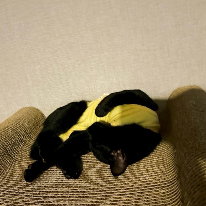 2ec111ce 5ba0 410d bf0a 74b4510df967 1728186753544