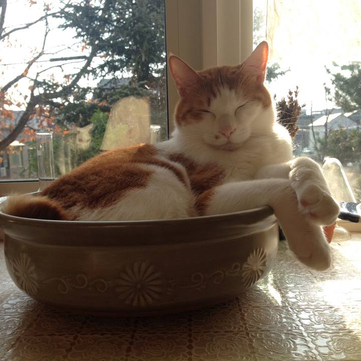 2ec14037 6e67 44b6 944f ba8a8045eacc 1509667044907