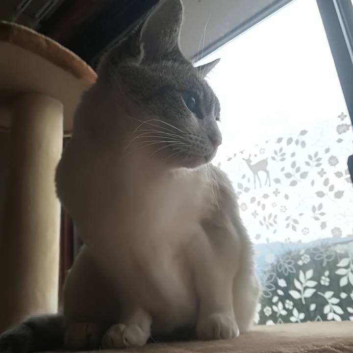 2ec15f9b d5ca 4ba5 a4d4 b1960d3b68c6 1521081159102