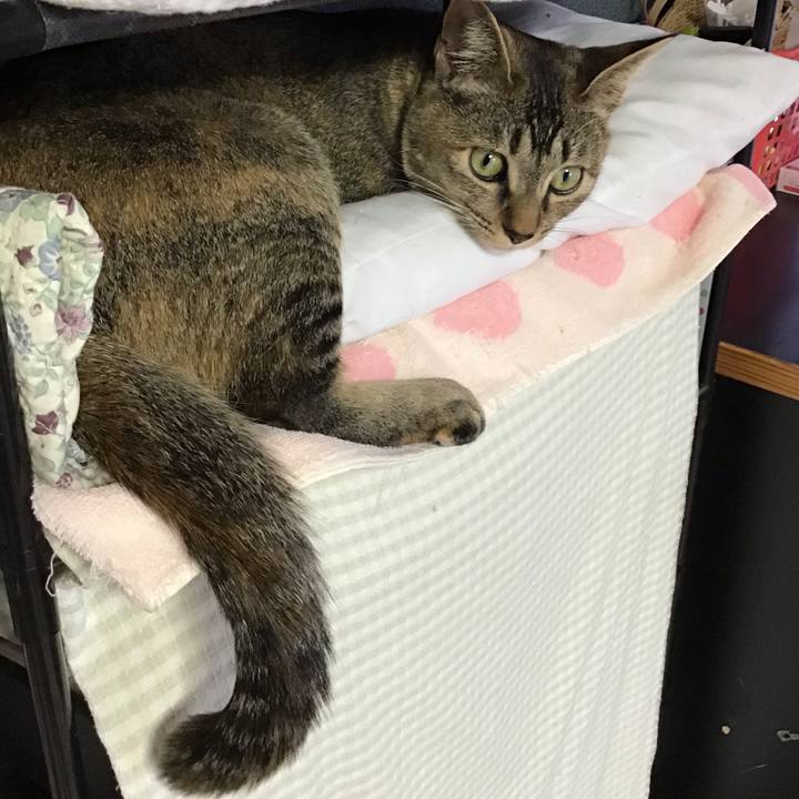 2ec1657a 4080 481d 8192 49b18a82a499 1578552996765