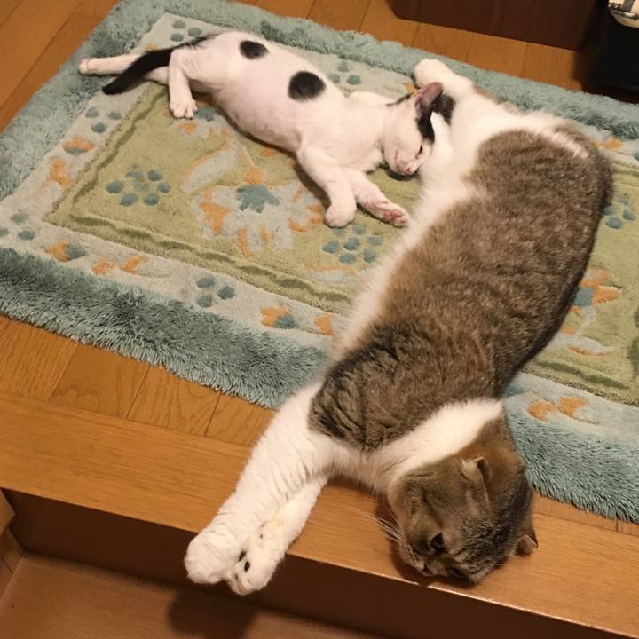 2ec18585 f561 4bdd b00c da7c2b779a34 1531747717353