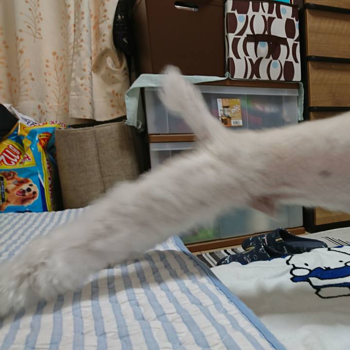 2ec189ce f488 4fda 8230 4c5daf99f1c7 1568471491342