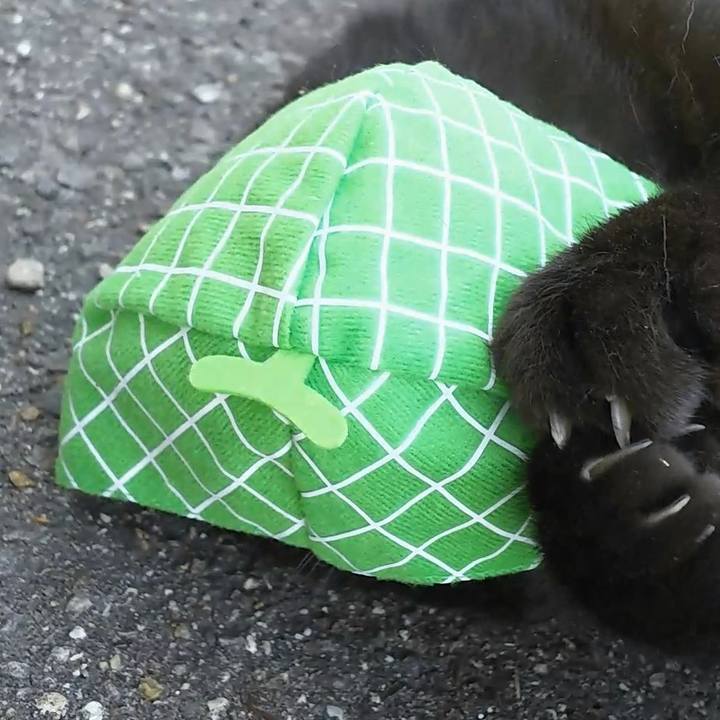 2ec1910d 721f 4fca a870 3e97285e467c 1558068828416