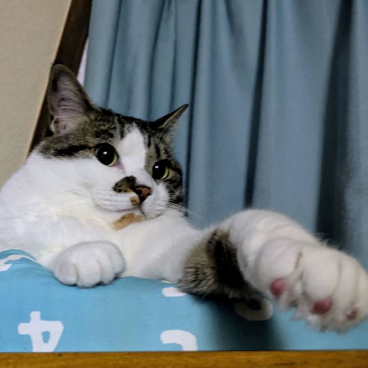 2ec19b95 a21c 4c3c bbd4 54ec3f5c71a2 1749558469285