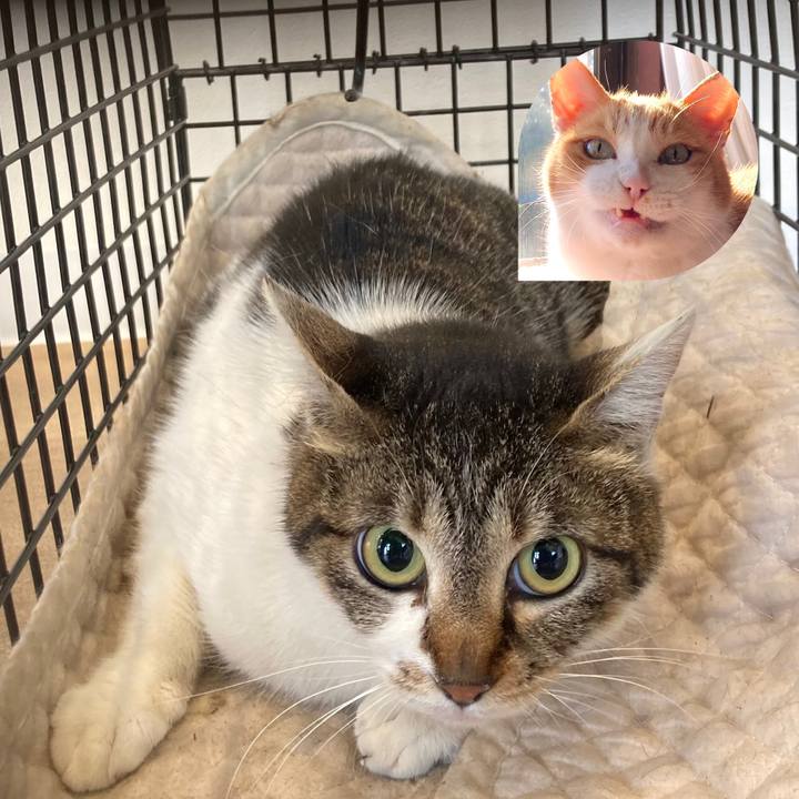 2ec1a38b 6dd7 47cd a5d9 3d975ae98d1c 1682482027662