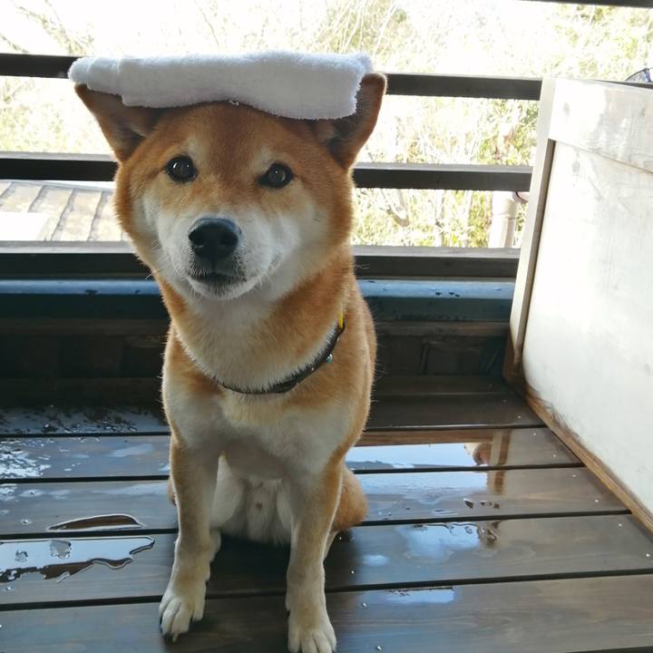 2ec1cca5 ae0c 478f 9954 c6e7b1941104 1648038584107