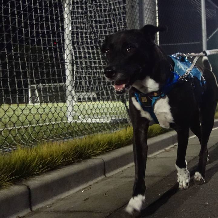 2ec1d651 f508 4ba8 b8a6 72df8c2fd62d 1635244815721