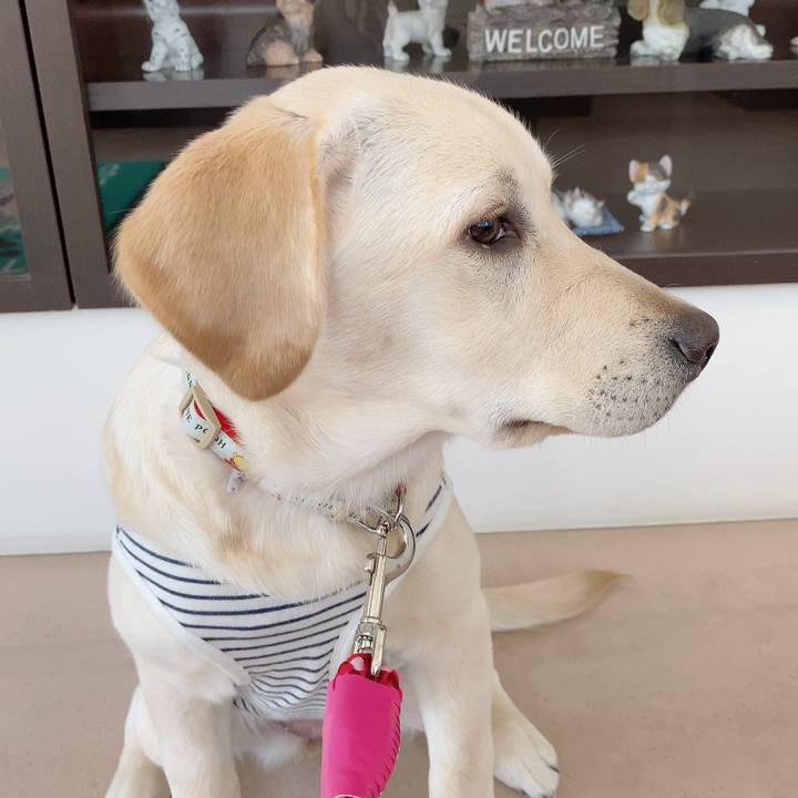 2ec25b71 4e1c 4d84 b6c6 435379a2bc97 1617679648650