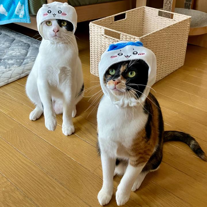 2ec25f79 58aa 496b a8fc 4b62ca93e1e9 1713584439335