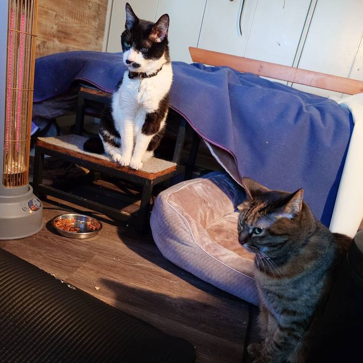 2ec27fa4 0c90 45d0 9a82 adf12ca131c2 1773130302700