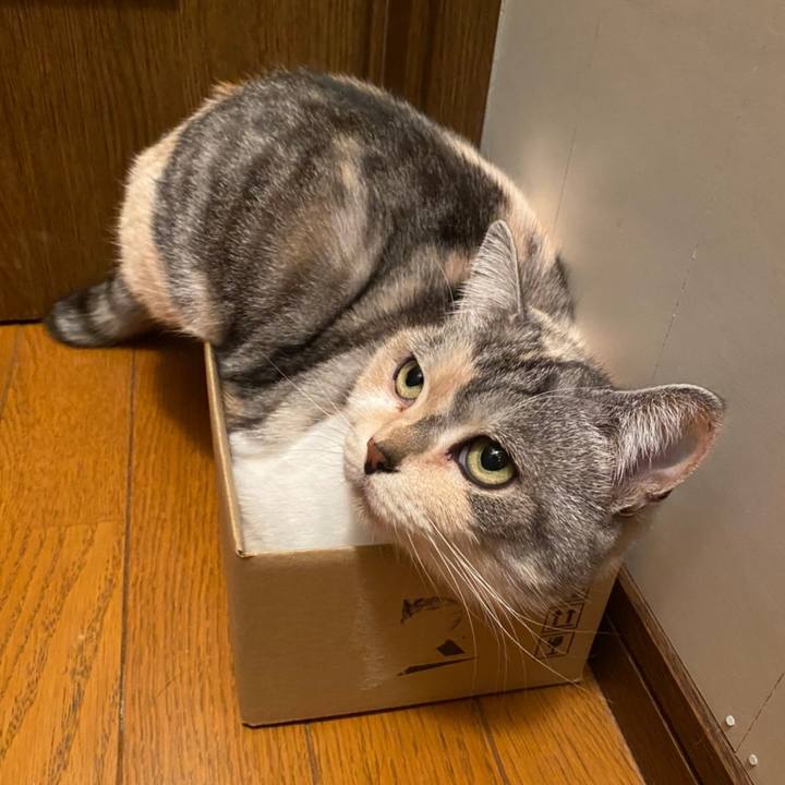 2ec2876c 5e8c 42fb b7dc 328e2025d0c4 1607698384425