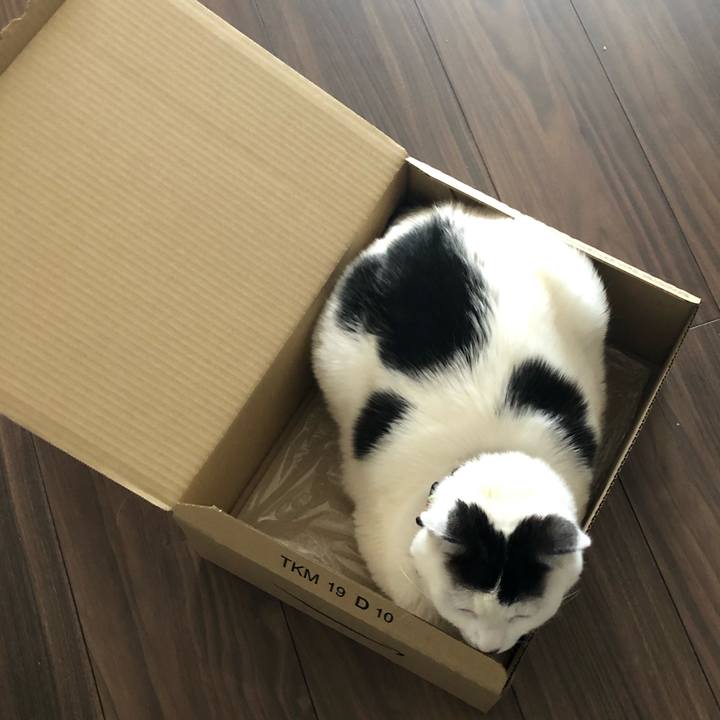 2ec2dcc3 94a4 43fb 942a 2d697e6711bc 1555543998956