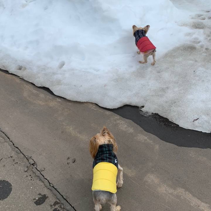 2ec2eb72 8b30 4e59 a474 663284a54a57 1615885120900