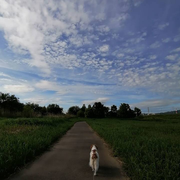 2ec30828 e1be 4c23 8484 4d876e9b91d5 1620905301763