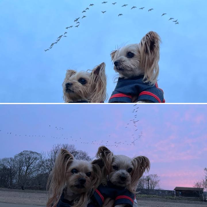 2ec31989 b534 457a 9a31 430ec28da902 1619691938005