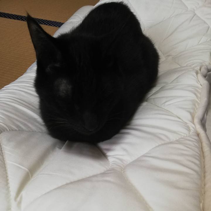 2ec33145 9ab4 44a2 b167 3621124c09ef 1672559414379