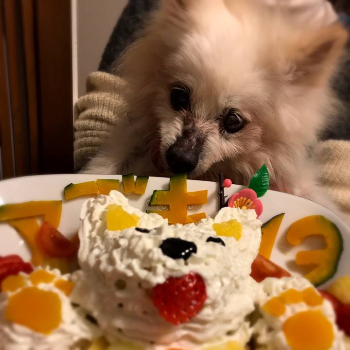 2ec33de1 fa4d 474a 9901 8cf8e342c7c7 1520844793121