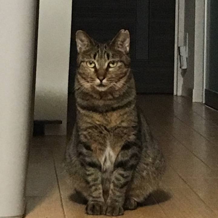 2ec372c1 4d03 4288 855b 00997da4ef9e 1519392144400