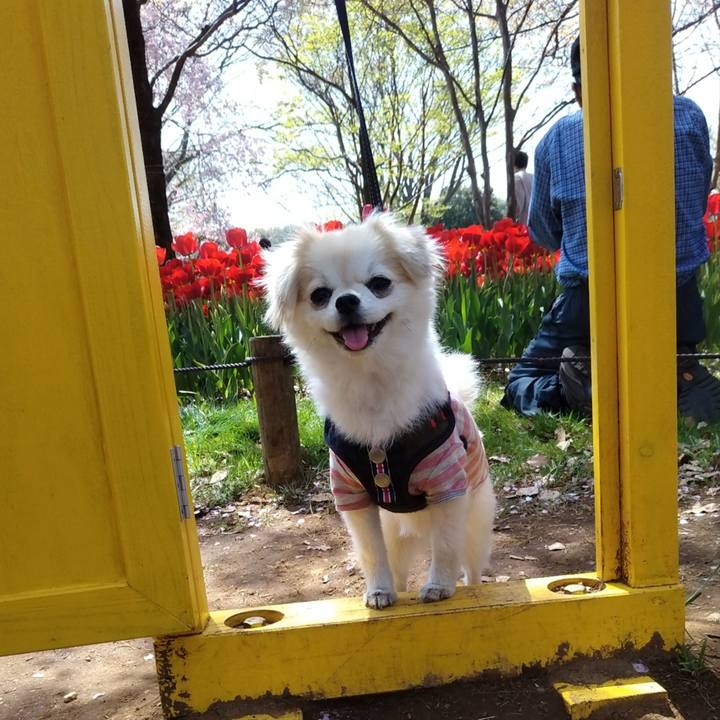 2ec3796b 71e9 4853 bcc6 b3360823b842 1649588104065