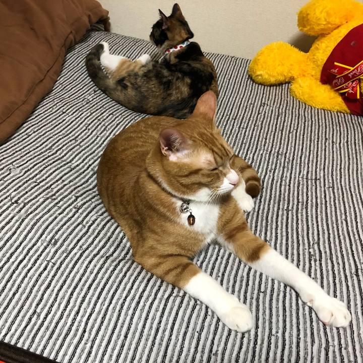 2ec3800f 603a 463b 9e88 cdb65e4e9ca7 1560397154058