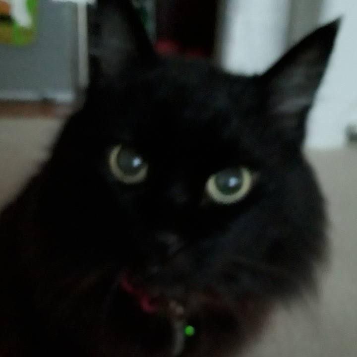 2ec3ac88 3b39 4b70 98bb 3e97ee43db86 1542491255216