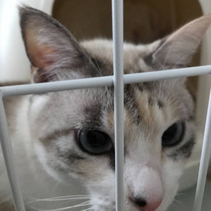 2ec3ad0b f153 4e60 8fb9 9e170df6055e 1512207161988