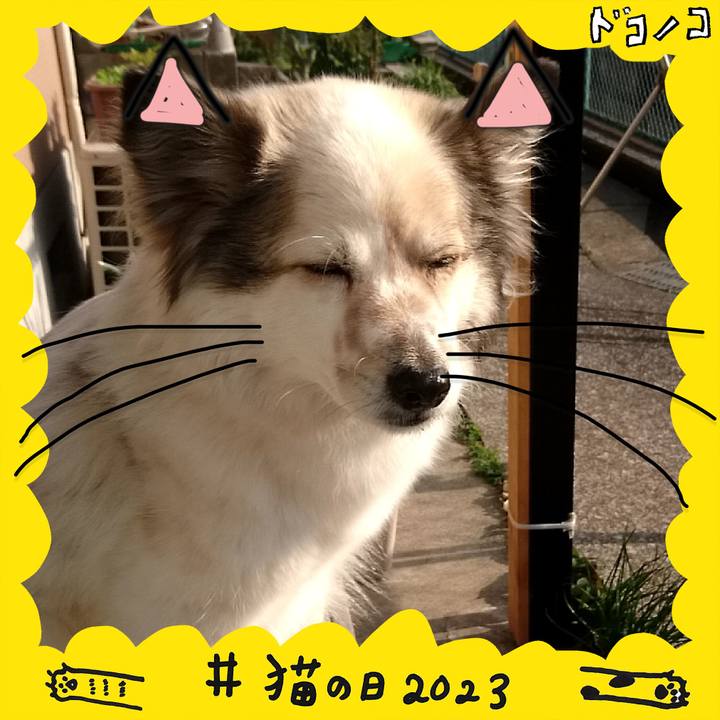 2ec3c511 8095 486c a9e5 d4540f96ff4a 1677060879295